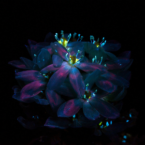 黄色区片小拘搞女人
